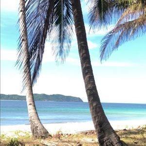 Meet your Posher, Roel